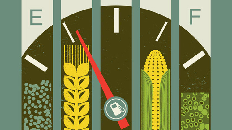 biofuels5